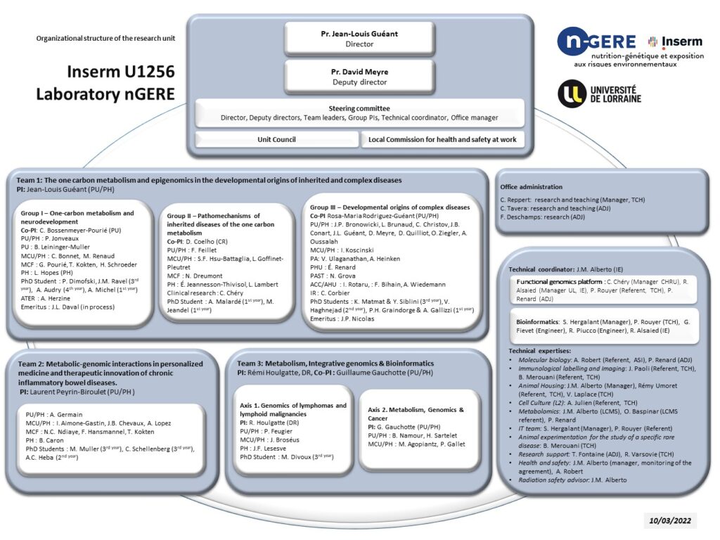 Organigramme Fonctionnel INSERM U1256 NGERE