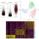 Analyses NGS en single-cell