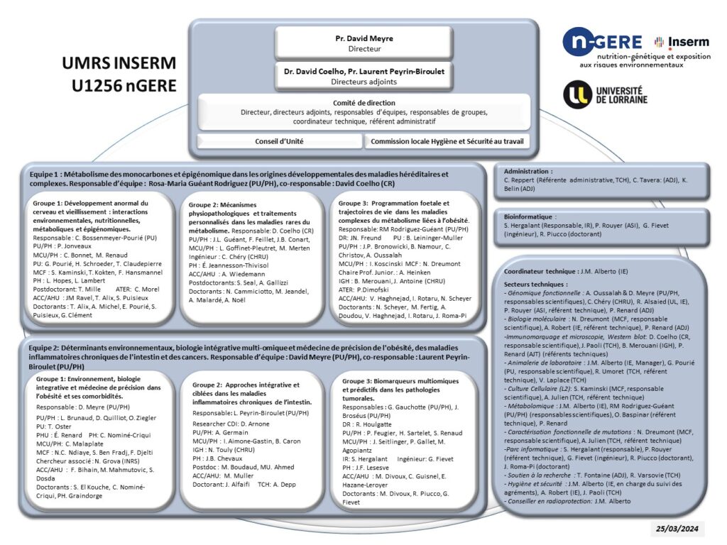 NGERE INSERM U1256 ORGANIZATIONAL CHART