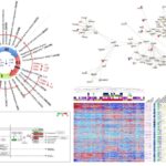 Annotations fonctionnelles et biologie intégrative