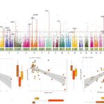 Intégration des données omiques et multi-omiques