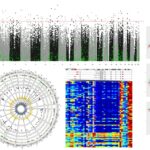 Analyses de données de méthylation de l'ADN