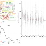 Analyses de données de l'exome et du génome