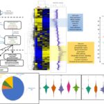 Analyse de données du transcriptome