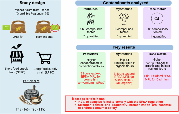 📰Nouvelle publication : les travaux d’Alexis Noel sur la contamination des farines de blé publiés dans npj Science of Food